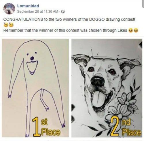 Lomunidaa CONGRATULATIONS 10 the two winners of the DOGGO drawing contestl Remember that the winnner ofthis contest was chosen through Likes
