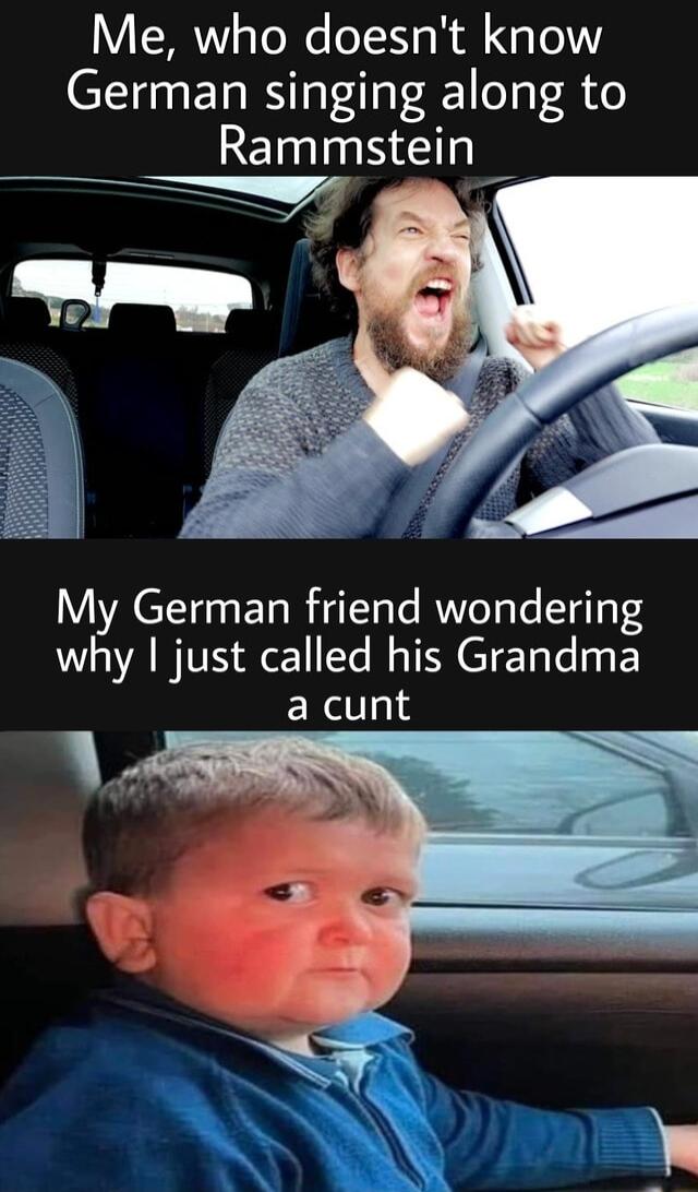 Me who doesnt know German singing along to eI N My German friend wondering AN T ETE e 1y F a cunt