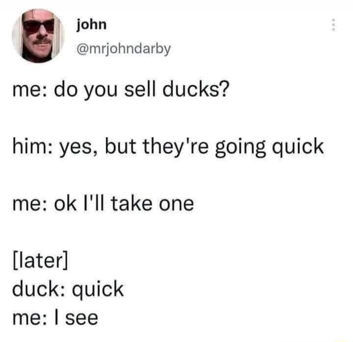 john @mrjohndarby me: do you sell ducks? him: yes, but they're going quick me: ok I'll take one [later] duck: quick me: I see