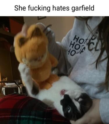 She fucking hates garfield