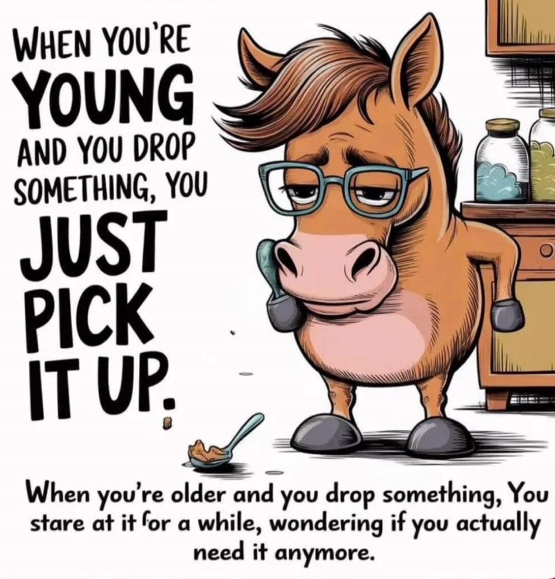 WHEN YOU'RE YOUNG AND YOU DROP SOMETHING, YOU JUST PICK IT UP. When you're older and you drop something, You stare at it for a while, wondering if you actually need it anymore.