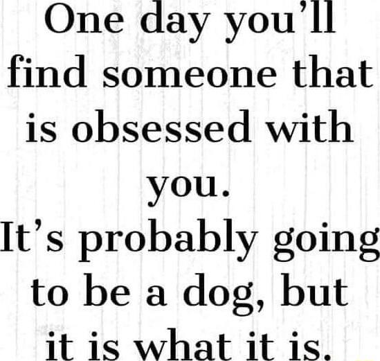 One day youll find someone that is obsessed with you ts probably going to be a dog but it is what it is