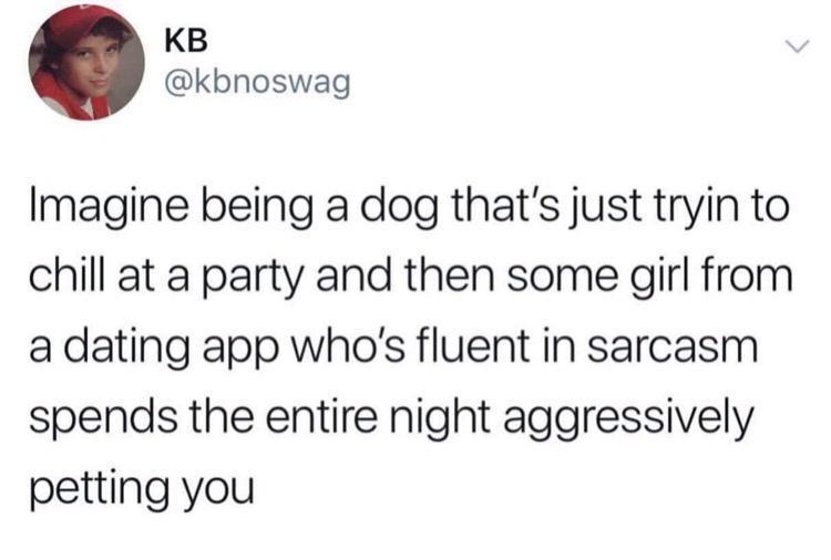 KB kbnoswag Imagine being a dog thats just tryin to chill at a party and then some girl from a dating app whos fluent in sarcasm spends the entire night aggressively petting you
