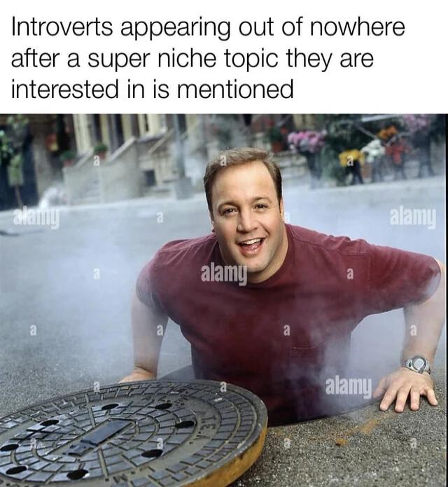 Introverts appearing out of nowhere after a super niche topic they are interested in is mentioned 14