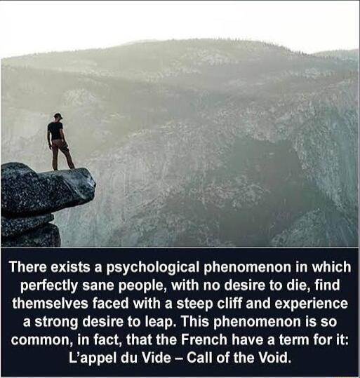 There exists a psychological phenomenon in which perfectly sane people with no desire to die find QUG ECIEER LN RWIGIE R CET N E T T Y Y TS ERTGUT G EETERGREET R RN EL G L D R EE common in fact that the French have a term for it Lappel du Vide Call of the Void