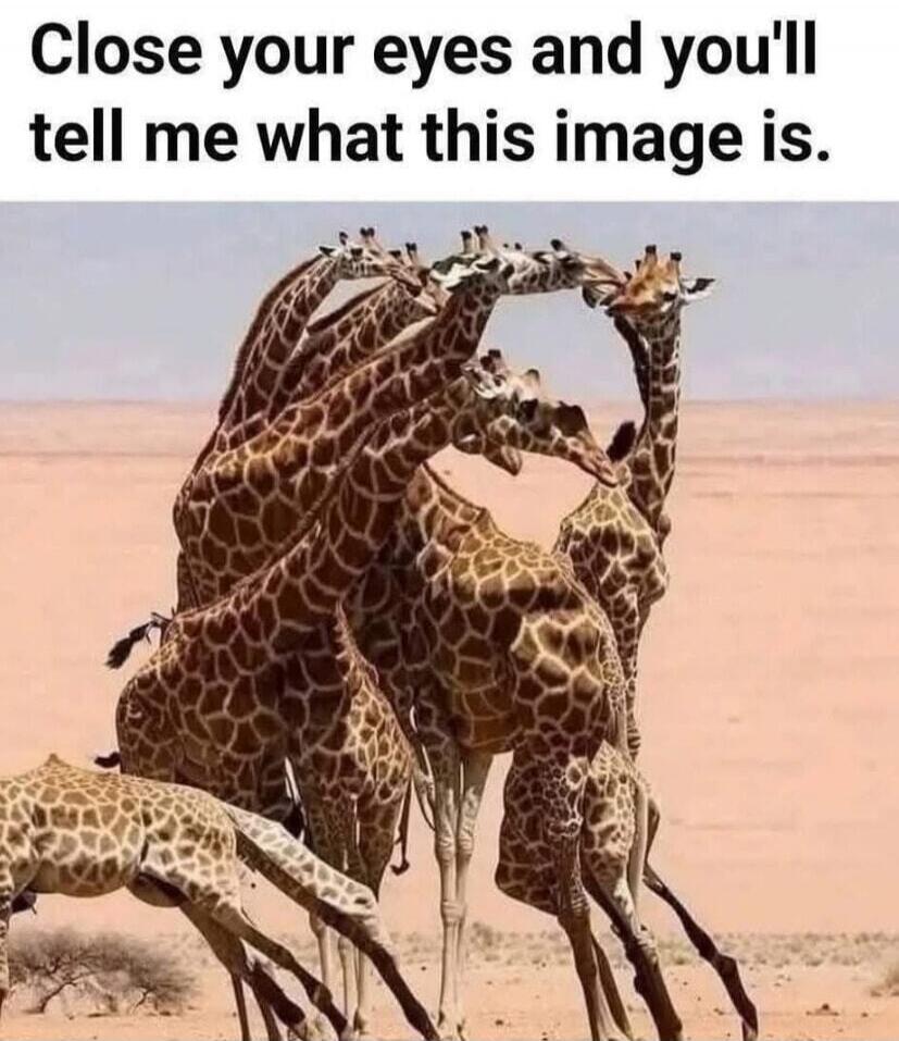 Close your eyes and you'll tell me what this image is.