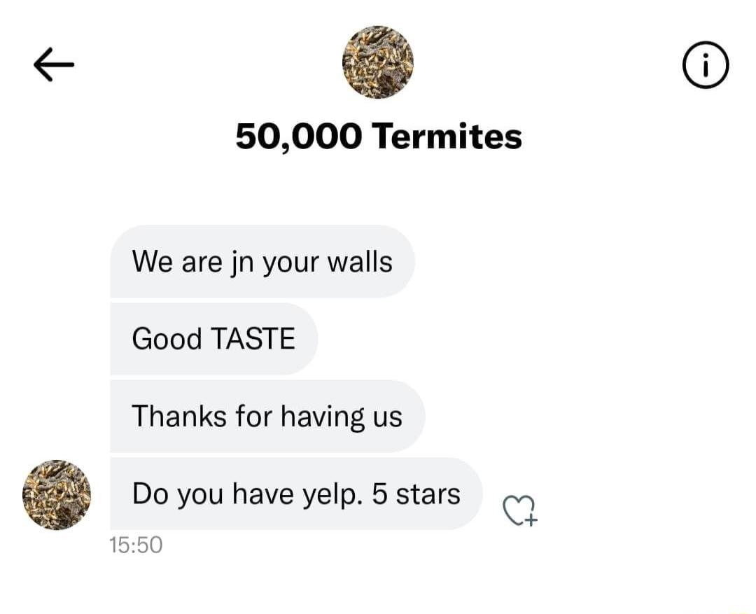 50000 Termites We are jn your walls Good TASTE Thanks for having us Do you have yelp 5 stars Q