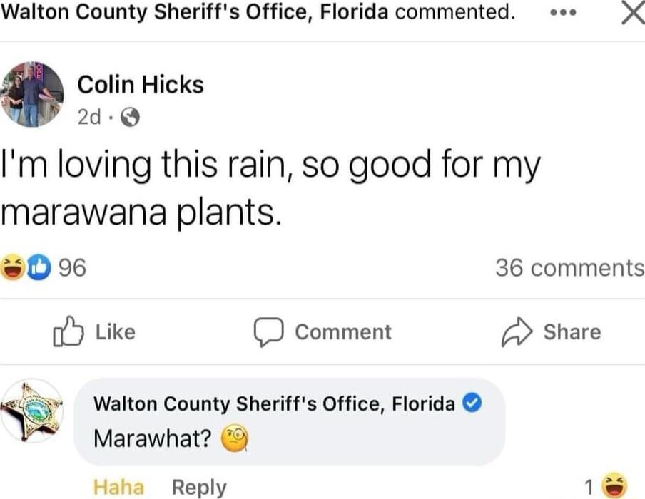 Walton County Sheriffs Office Florida commented X Colin Hicks 2d Q Im loving this rain so good for my marawana plants 0 36 comments oY Like D comment share Walton County Sheriffs Office Florida Marawhat Wil Reriv 1 A