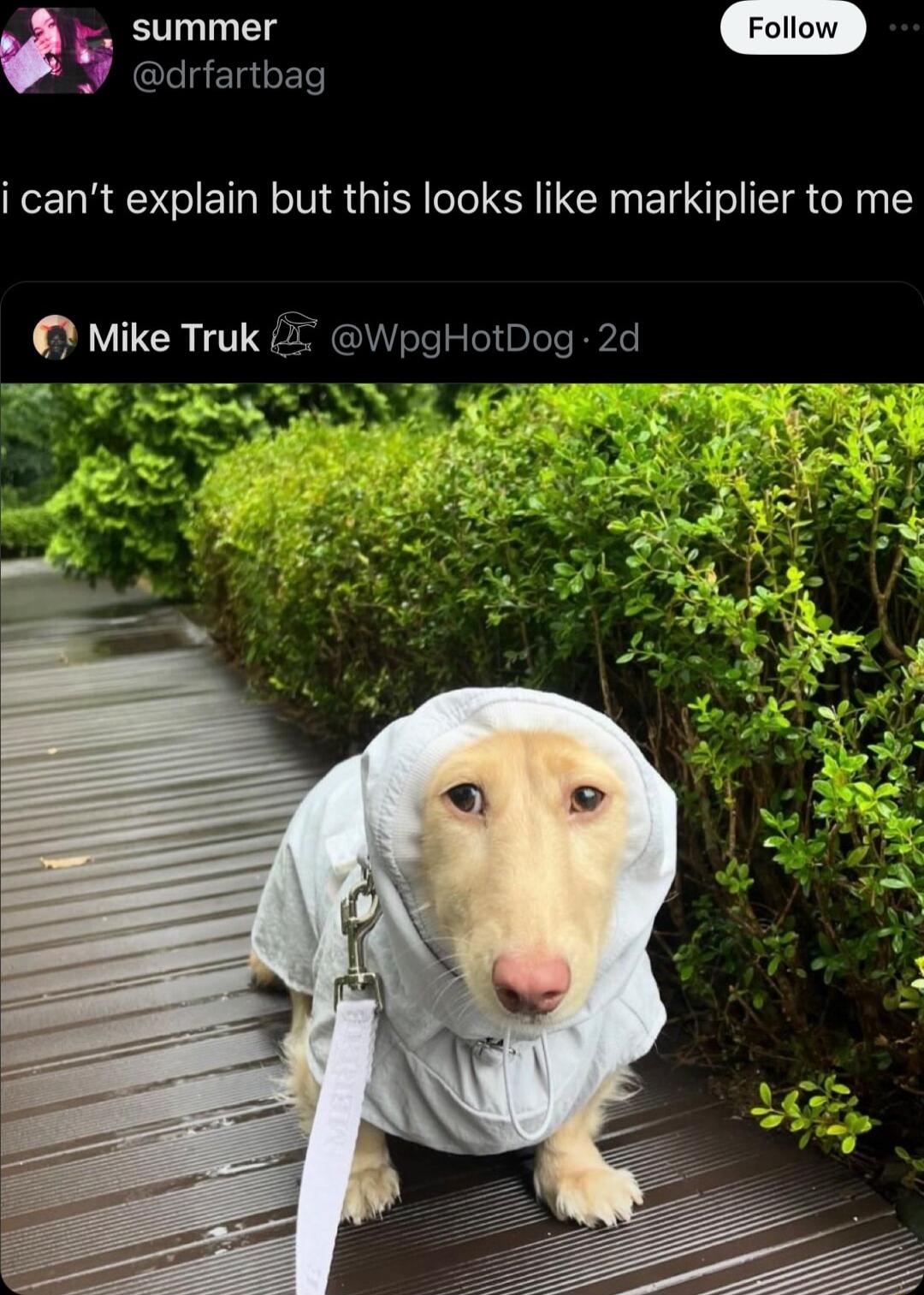 summer drfartbag i cant explain but this looks like markiplier to me Mike Tru WpgHotDog 2d T