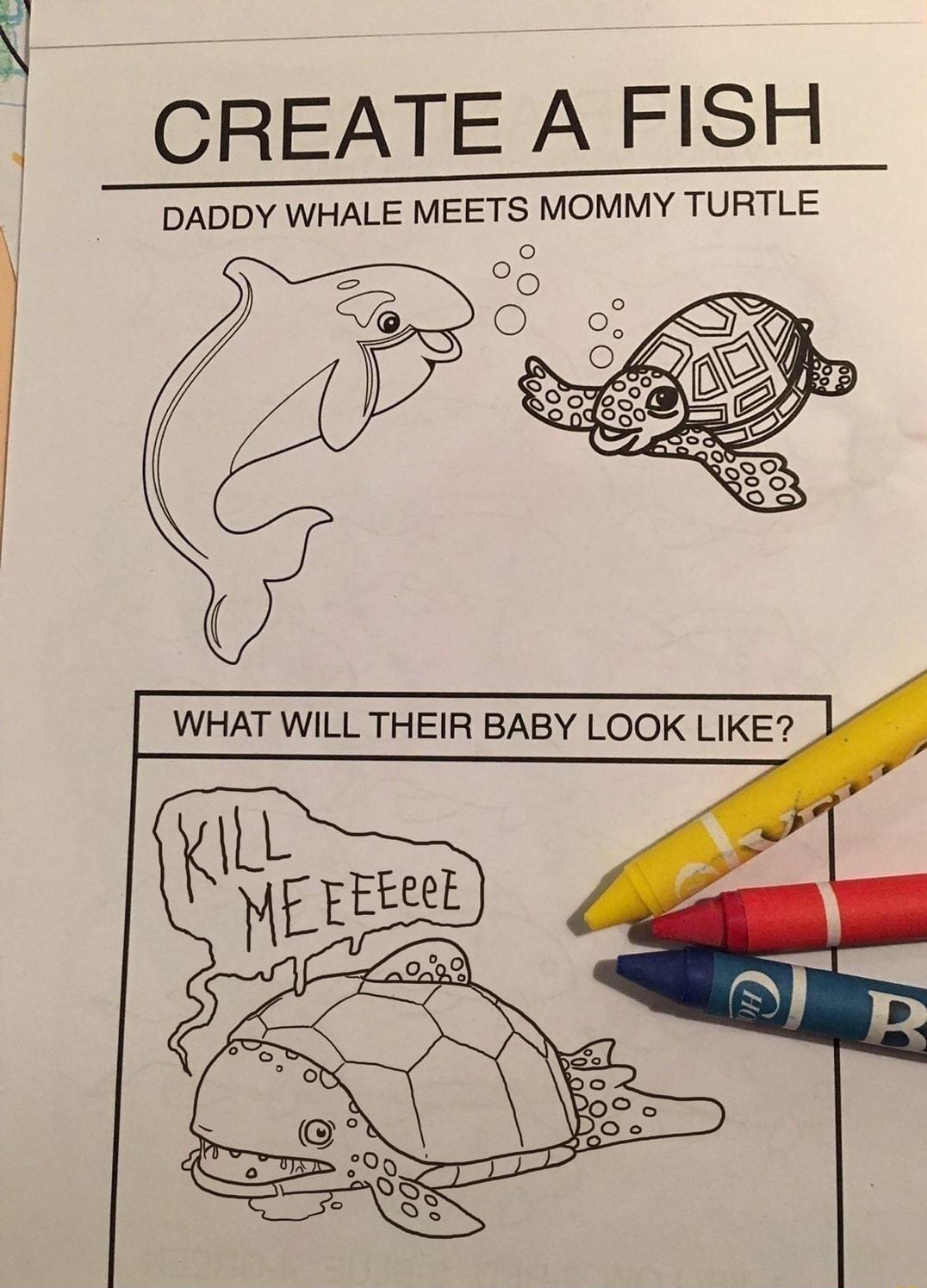 CREATE A FISH DADDY WHALE MEETS MOMMY TURTLE