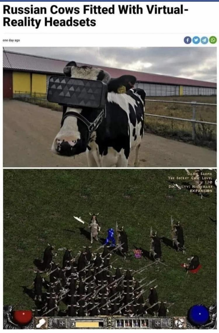 Russian Cows Fitted With Virtual Reality Headsets