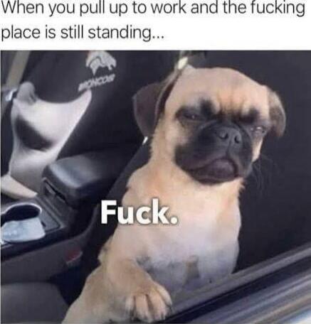 When you pull up to work and the fucking place is still standing... Fuck.