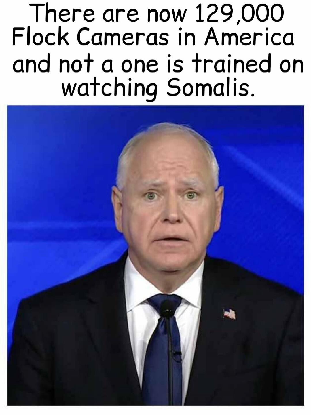 There are now 129,000 Flock Cameras in America and not a one is trained on watching Somalis.