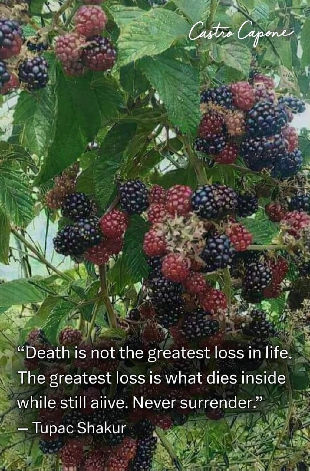 Castro Capone Death is not the greatest loss in life. The greatest loss is what dies inside while still alive. Never surrender. — Tupac Shakur
