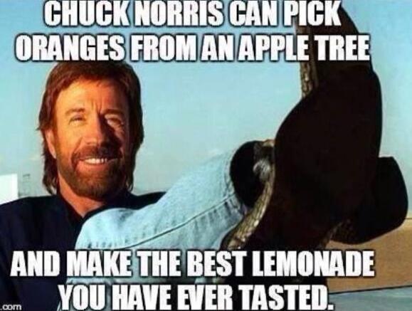CHUCK NORRIS CAN PICK ORANGES FROM AN APPLE TREE AND MAKE THE BEST LEMONADE YOU HAVE EVER TASTED.
