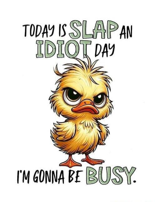 TODAY IS SLAP AN IDIOT DAY I'M GONNA BE BUSY.