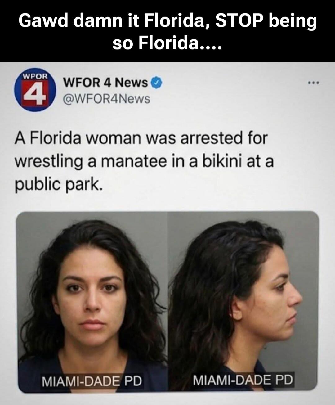 Gawd damn it Florida, STOP being so Florida....\nA Florida woman was arrested for wrestling a manatee in a bikini at a public park.