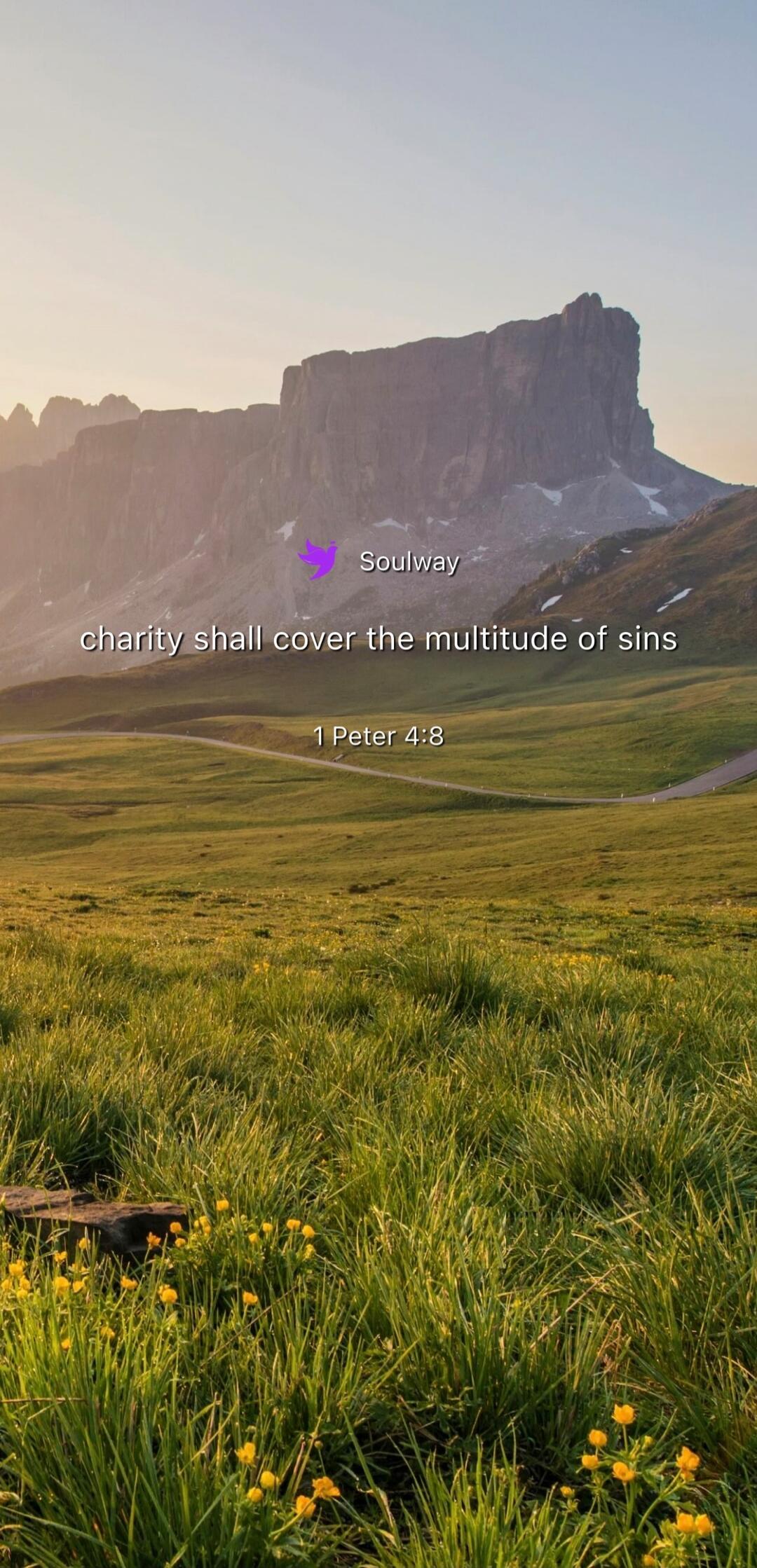 Soulway charity shall cover the multitude of sins 1 Peter 4:8