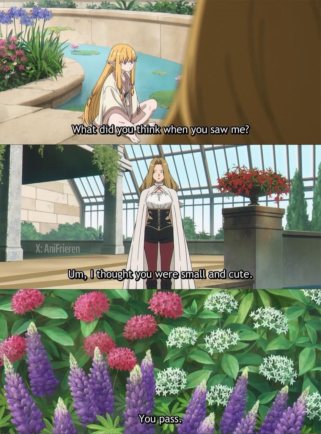 What did you think when you saw me? Um, I thought you were small and cute. You pass.