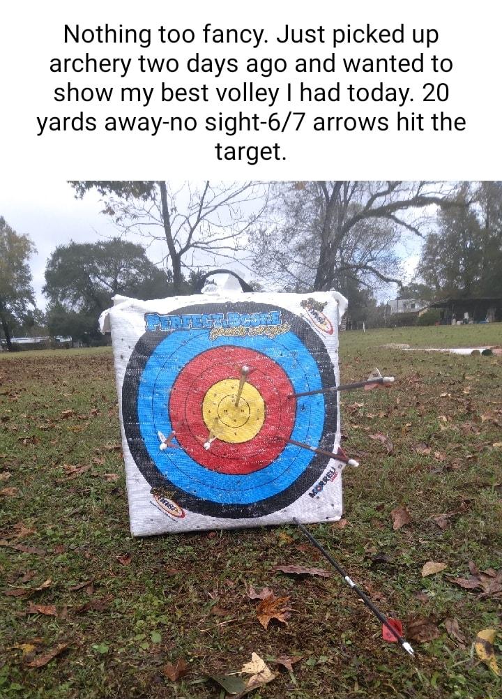 Nothing too fancy Just picked up archery two days ago and wanted to show my best volley had today 20 yards away no sight 67 arrows hit the target