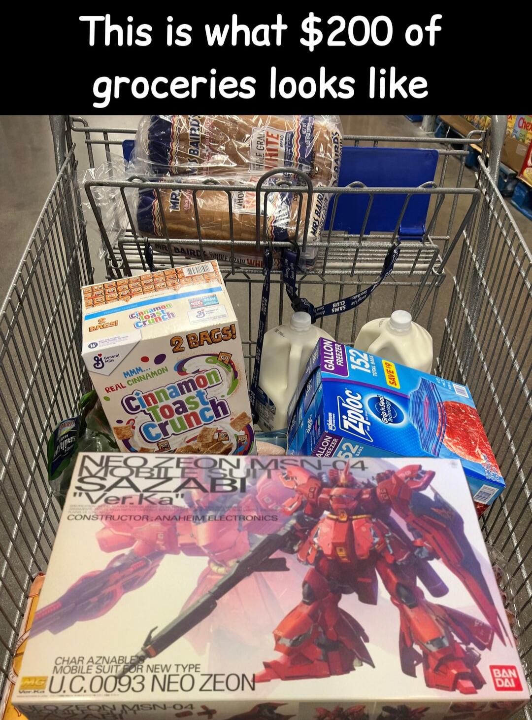 This is what 200 of groceries looks like