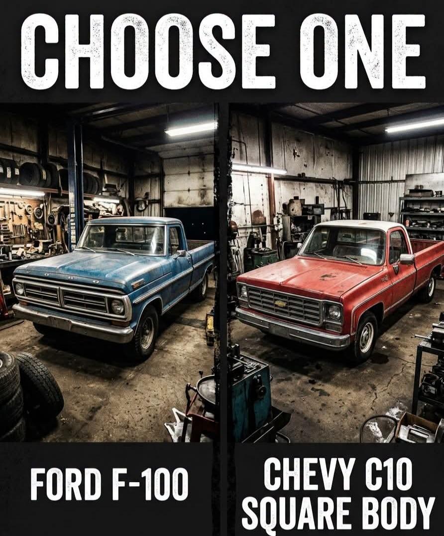 CHOOSE ONE FORD F-100 CHEVY C10 SQUARE BODY