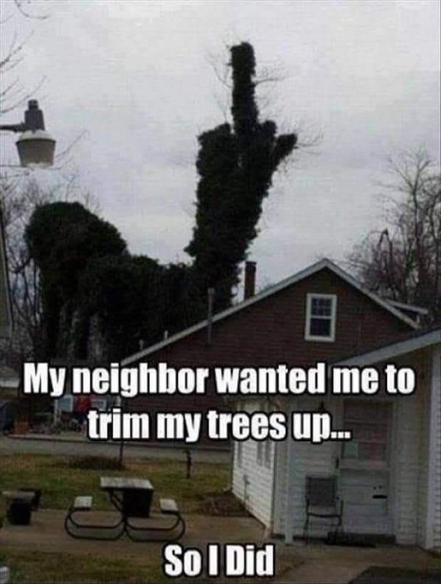 My neighbor wanted me to trim my trees up... So I Did