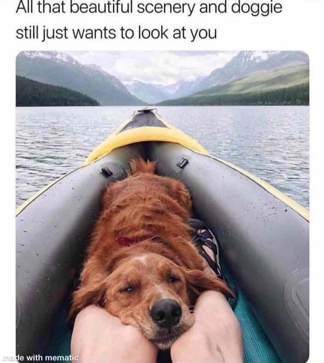 Allthat beautitul scenery and doggie still just wants to look at you