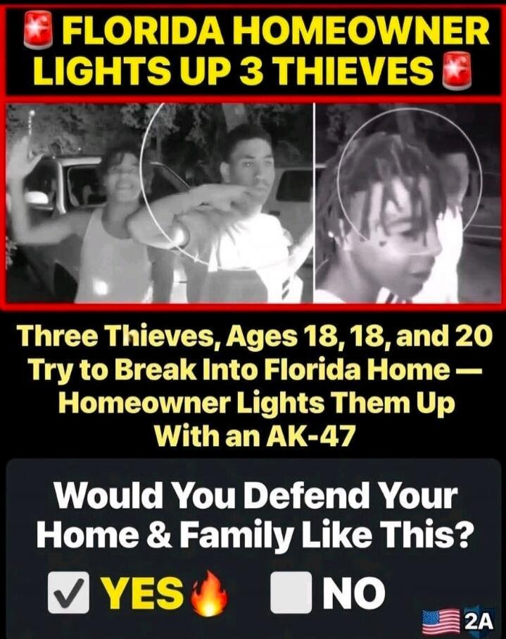 Florida homeowner lights up 3 thieves. Three thieves, ages 18, 18, and 20, try to break into a Florida home. Homeowner lights them up with an AK-47. Would you defend your home and family like this? Yes. No. 2A.