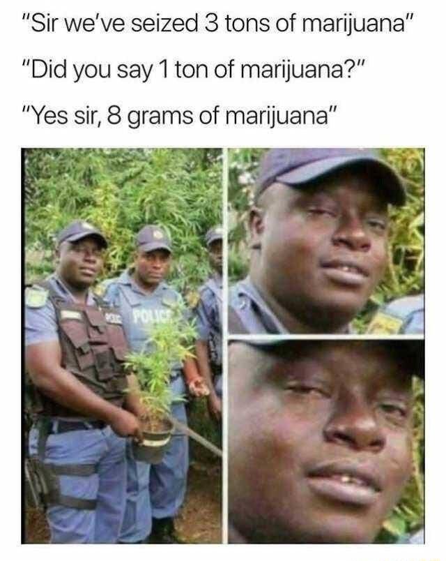 Sir weve seized 3 tons of marijuana Did you say 1ton of marijuana Yes sir 8 grams of marijuana