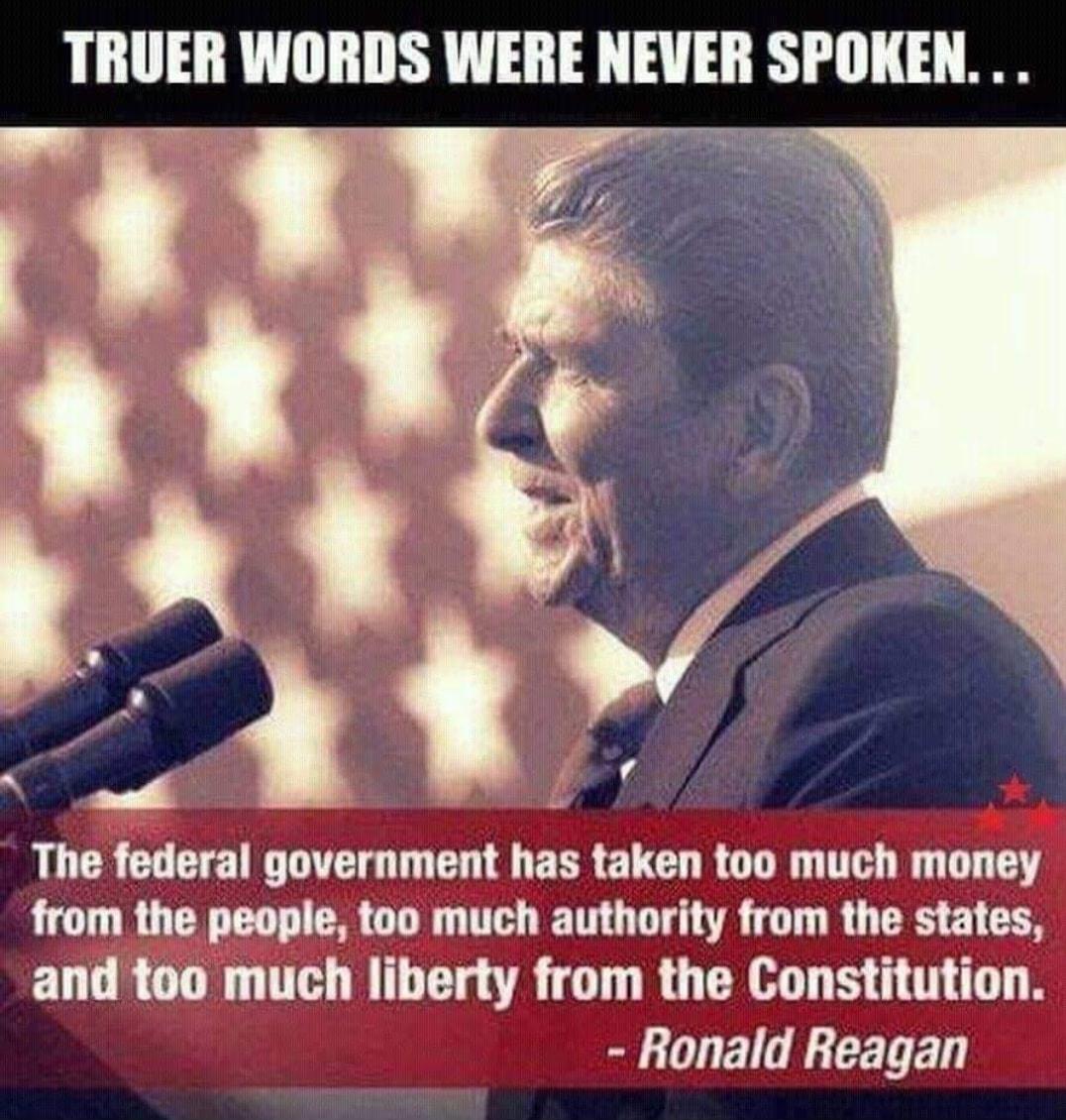 TRUER WORDS WERE NEVER SPOKEN The federal government has taken too much money from the people too much authority from the states and too much liberty from the Constitution Ronald Reagan