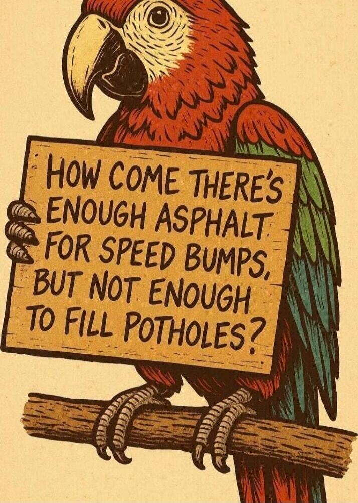 HOW COME THERE'S ENOUGH ASPHALT FOR SPEED BUMPS, BUT NOT ENOUGH TO FILL POTHOLES?