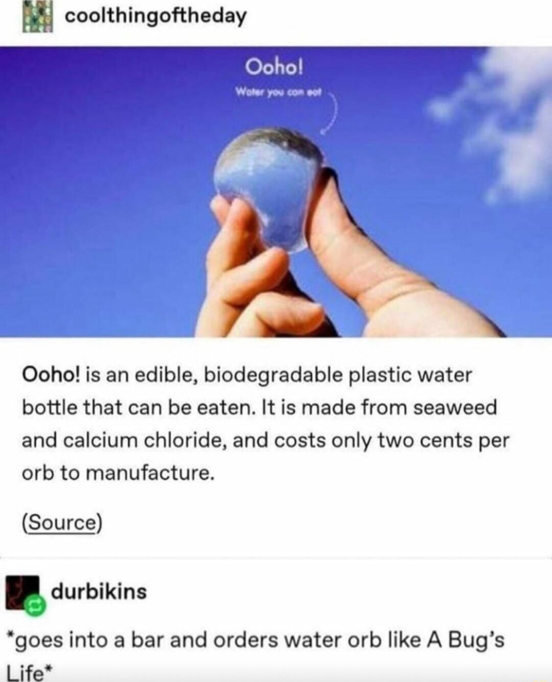 coolthingoftheday Ooho is an edible biodegradable plastic water bottle that can be eaten It is made from seaweed and calcium chloride and costs only two cents per orb to manufacture Source durbiklnl goes into a bar and orders water orb like A Bugs Life