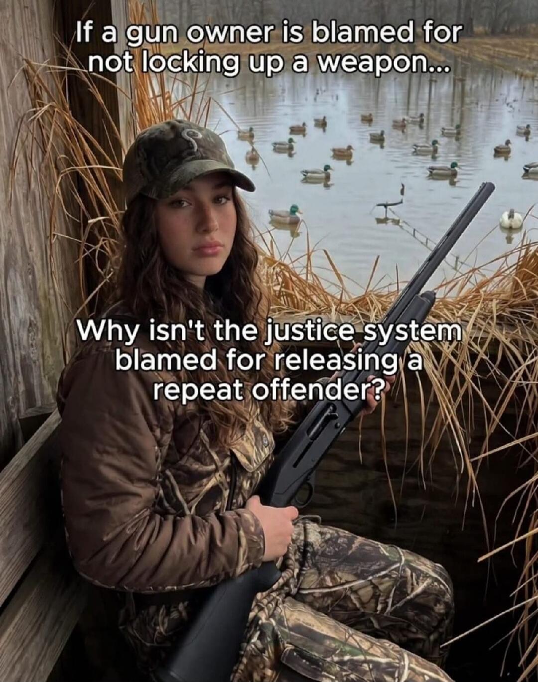 If a gun owner is blamed for not locking up a weapon... Why isn't the justice system blamed for releasing a repeat offender?