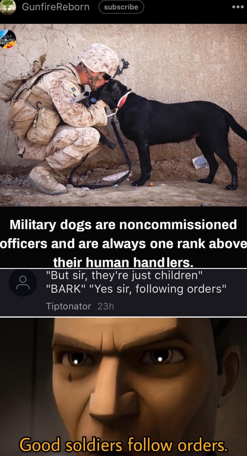 GunfireReborn subscribe QYA LESETE DL LT T TS officers and are always one rank above LG T EG I EGLIETEN But sir theyre just children R 70 G GRS o e 1o Te el e T Tiptonator 23h