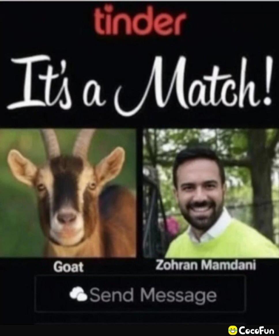 tinder It's a Match! Goat Zohran Mamdani Send Message CocoFun