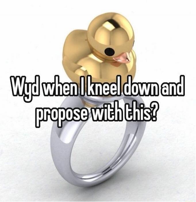 Wyd when I kneel down and propose with this?