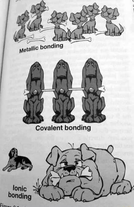 Covalent bonding
