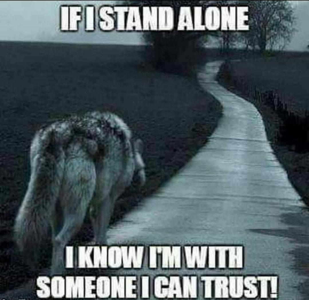 SIHEIHE ICAN TIISI by Qw Brxipss