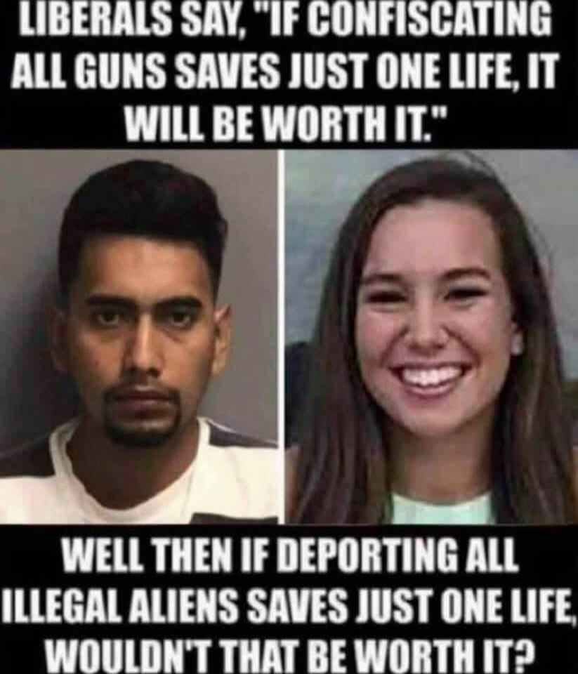 LIBERALS SAY, 'IF CONFISCATING ALL GUNS SAVES JUST ONE LIFE, IT WILL BE WORTH IT.' WELL THEN IF DEPORTING ALL ILLEGAL ALIENS SAVES JUST ONE LIFE, WOULDN'T THAT BE WORTH IT?
