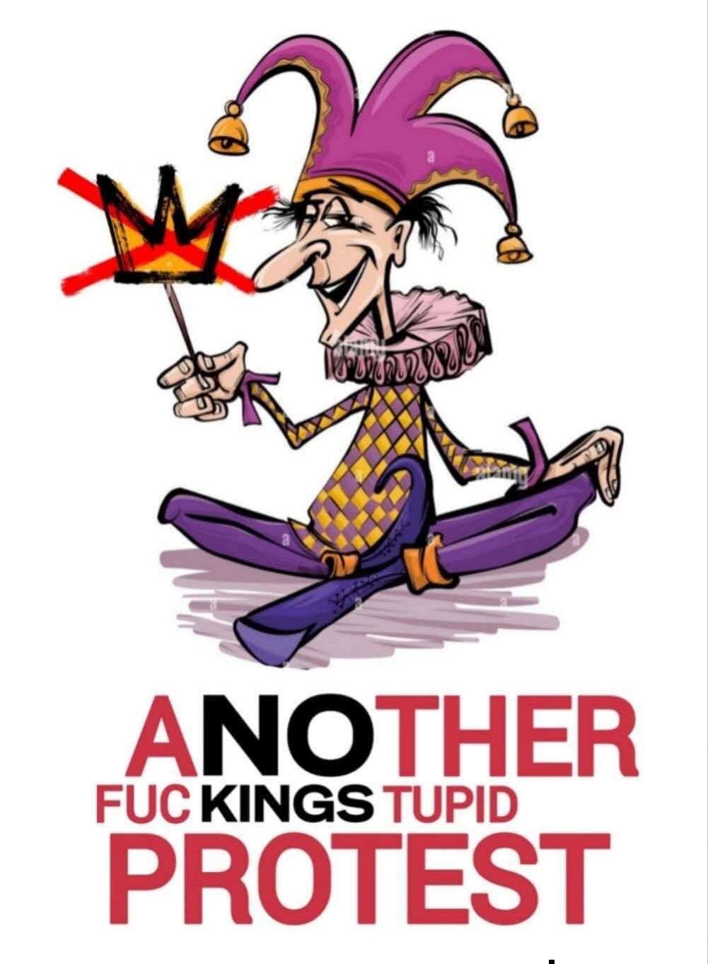 ANOTHER FUCKING STUPID PROTEST