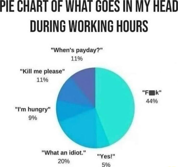 PIE GRART OF WHAT GOES IN MY HEAD DURING WORKING HOURS Whens payday 11 Kill me please 1 e 44 Im hungry What an idiot 20 Yes 506
