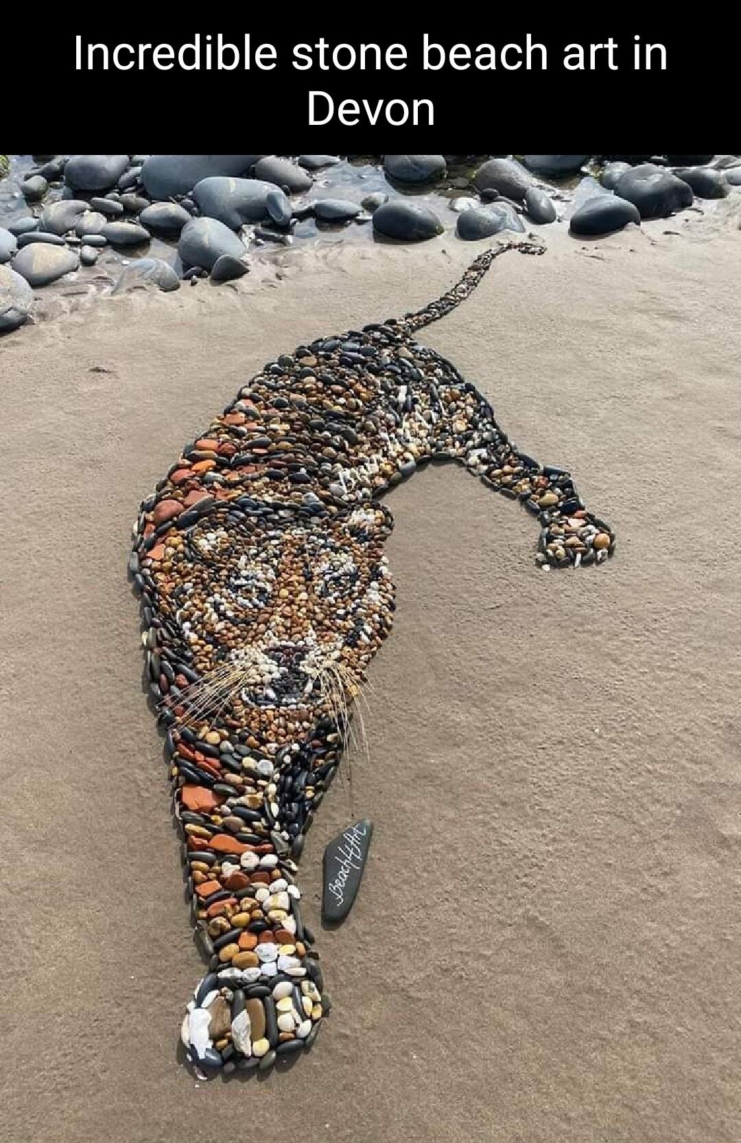 Incredible stone beach art in