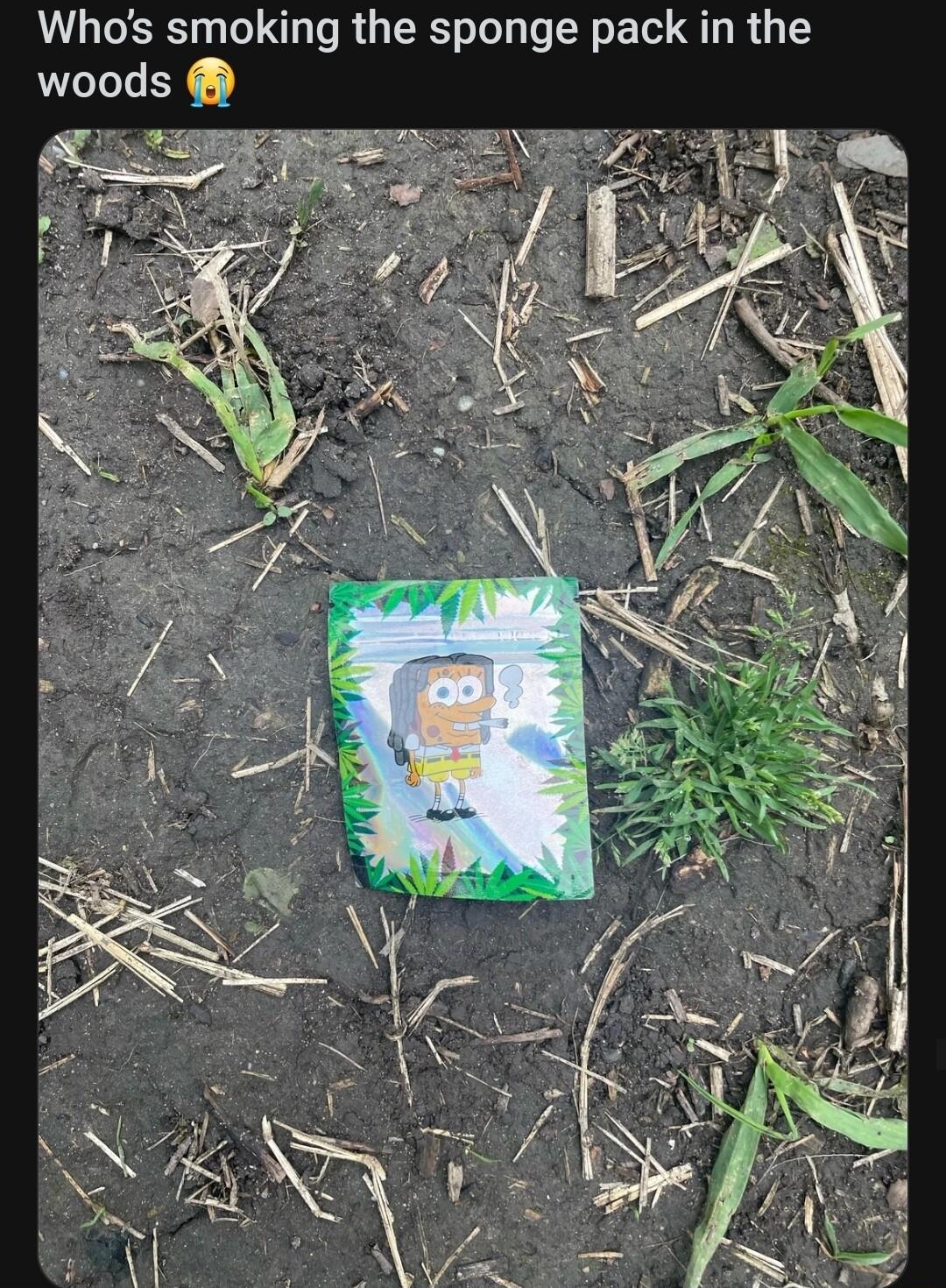 Whos smoking the sponge pack in the woods