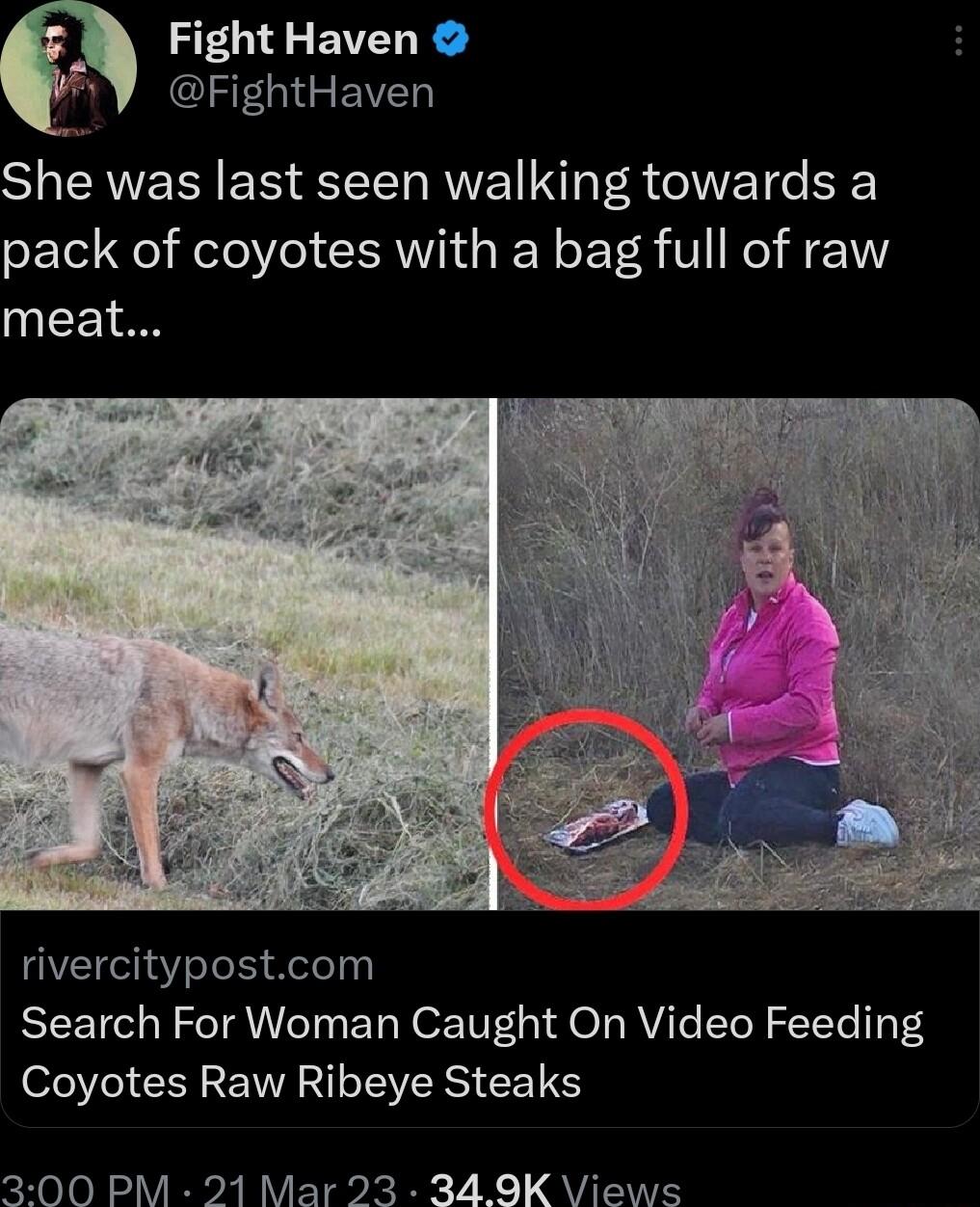 Fight Haven ISO EVED She was last seen walking towards a pack of coyotes with a bag full of raw meat rivercitypostcom Search For Woman Caught On Video Feeding Coyotes Raw Ribeye Steaks 300 PM 21 Mar 23 349K Views