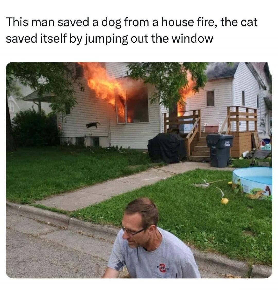 This man saved a dog from a house fire, the cat saved itself by jumping out the window