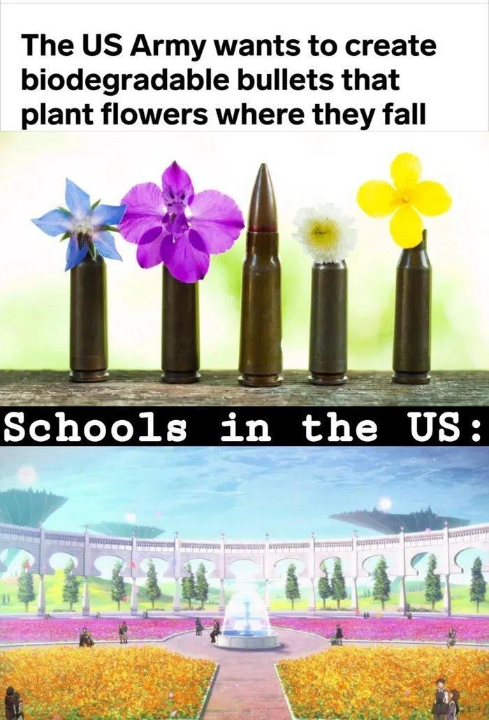 The US Army wants to create biodegradable bullets that plant flowers where they fall s Schools in the US