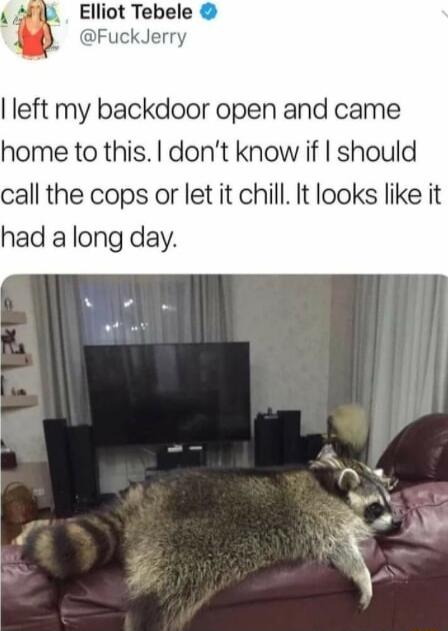 Elliot Tebele FuckJerry left my backdoor open and came home to this dont know if should call the cops or let it chill It looks like it had a long day e L