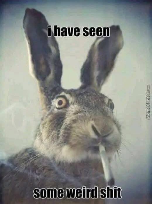 i have seen some weird shit