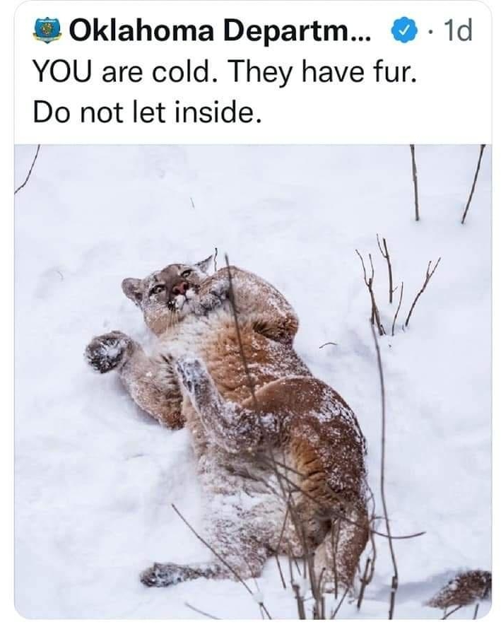 Oklahoma Departm 1d YOU are cold They have fur Do not let inside